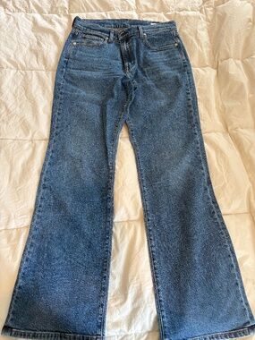 AYR The Hangout Jeans 30 High Rise Straight Leg Classic Denim